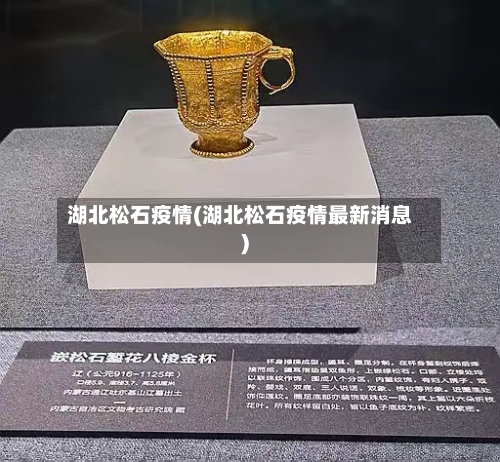 湖北松石疫情(湖北松石疫情最新消息)