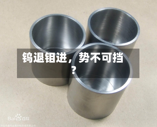 钨退钼进，势不可挡？-第2张图片