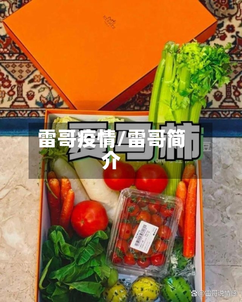 雷哥疫情/雷哥简介-第2张图片