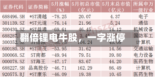 翻倍锂电牛股	，一字涨停-第2张图片