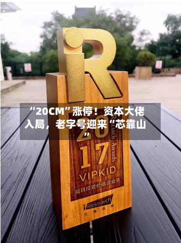 “20CM	”涨停！资本大佬入局，老字号迎来“芯靠山”-第2张图片