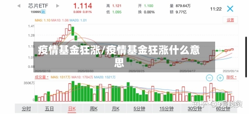 疫情基金狂涨/疫情基金狂涨什么意思-第2张图片