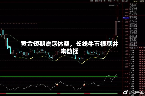 黄金短期震荡休整，长线牛市根基并未动摇-第3张图片