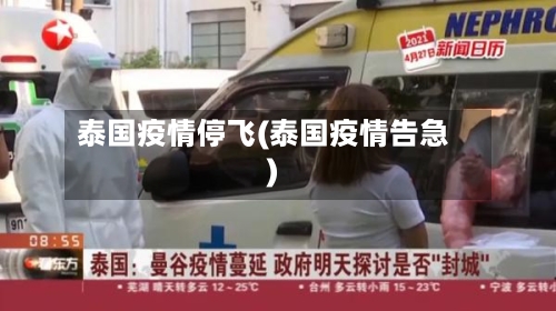 泰国疫情停飞(泰国疫情告急)