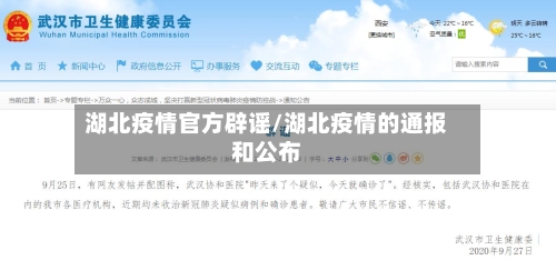 湖北疫情官方辟谣/湖北疫情的通报和公布-第2张图片