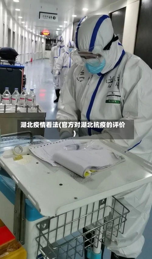 湖北疫情看法(官方对湖北抗疫的评价)-第3张图片