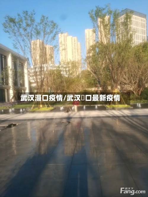武汉滠口疫情/武汉硚口最新疫情