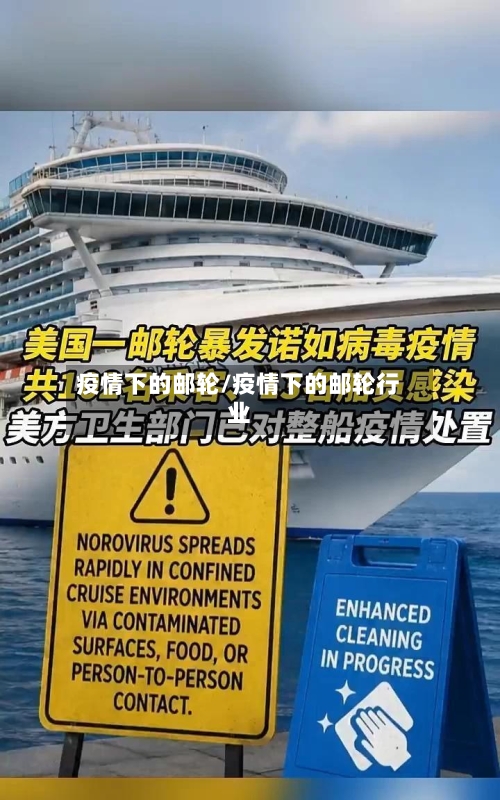 疫情下的邮轮/疫情下的邮轮行业