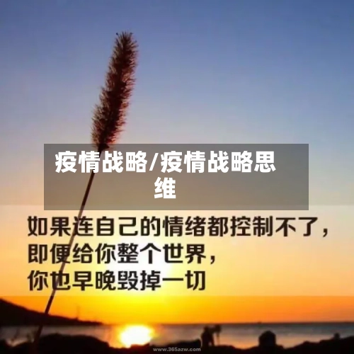 疫情战略/疫情战略思维
