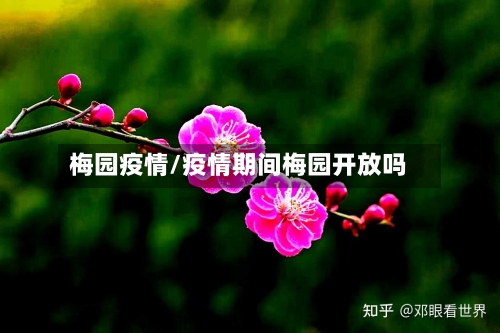 梅园疫情/疫情期间梅园开放吗